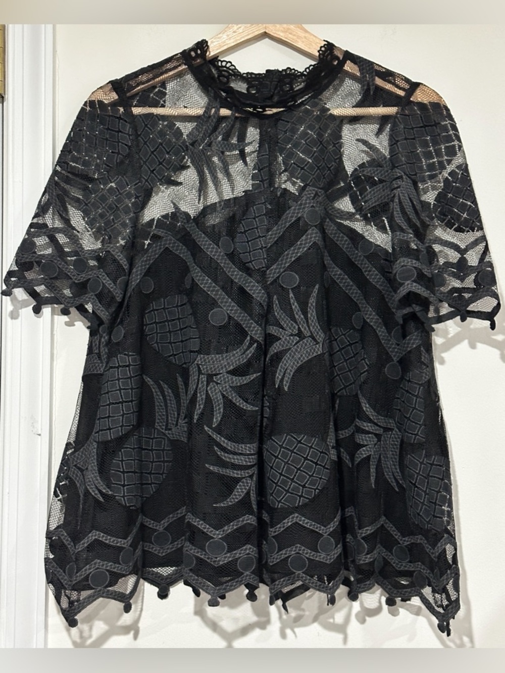 Anthropologie HD in Paris Pineapple Sheer Lace Blouse
